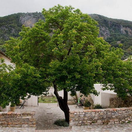 Casa Rural El Vihuelo เอลบอสเก ภายนอก รูปภาพ