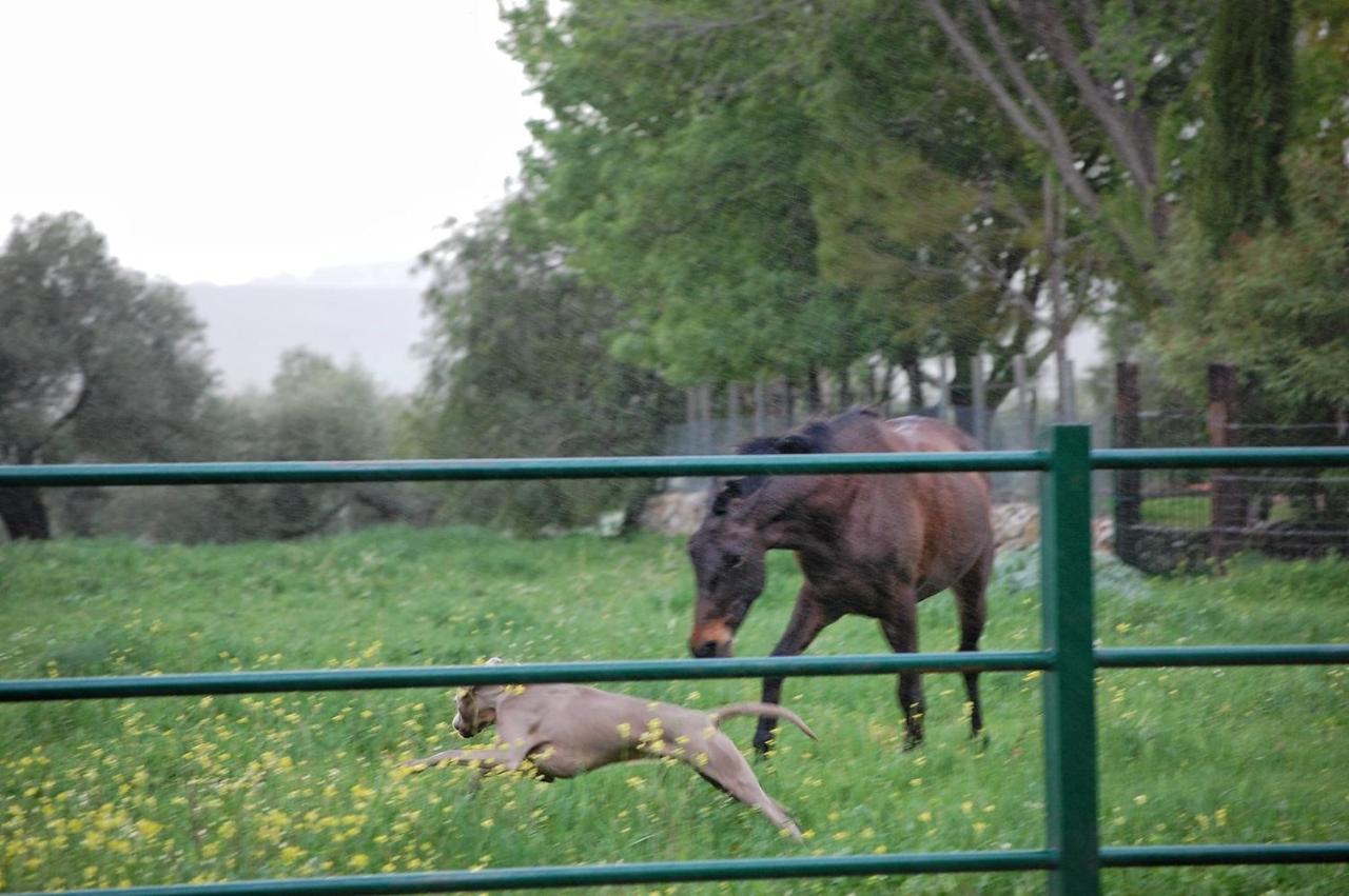 Casa Rural El Vihuelo เอลบอสเก ภายนอก รูปภาพ