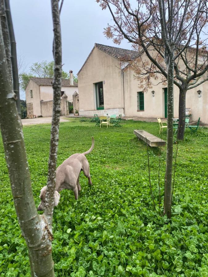 Casa Rural El Vihuelo เอลบอสเก ภายนอก รูปภาพ