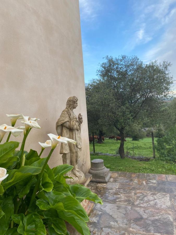 Casa Rural El Vihuelo เอลบอสเก ภายนอก รูปภาพ