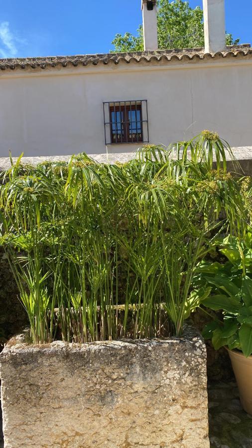 Casa Rural El Vihuelo เอลบอสเก ภายนอก รูปภาพ