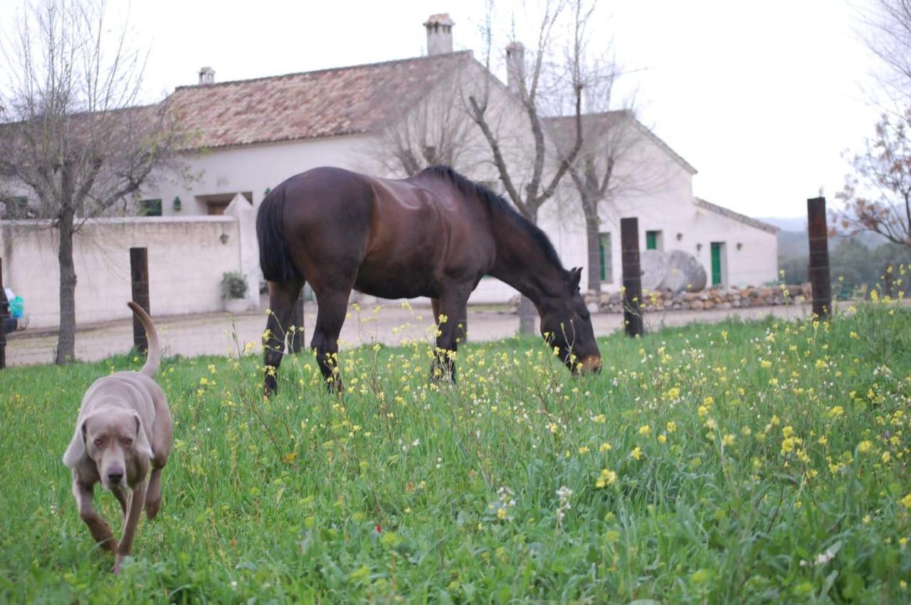 Casa Rural El Vihuelo เอลบอสเก ภายนอก รูปภาพ