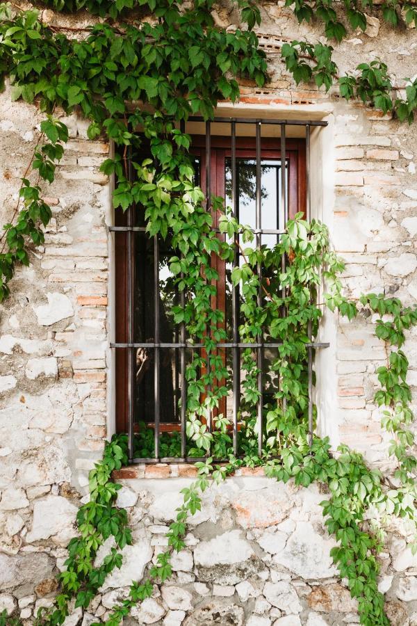 Casa Rural El Vihuelo เอลบอสเก ภายนอก รูปภาพ