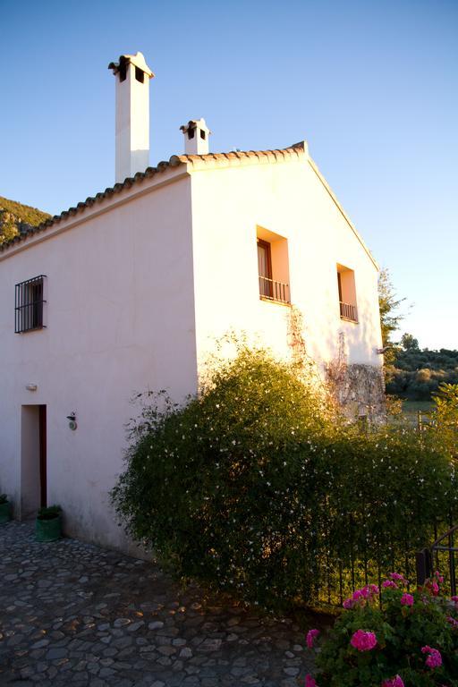Casa Rural El Vihuelo เอลบอสเก ภายนอก รูปภาพ