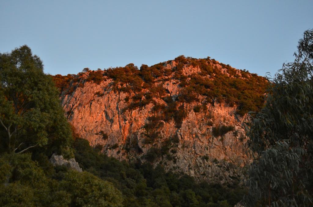 Casa Rural El Vihuelo เอลบอสเก ภายนอก รูปภาพ